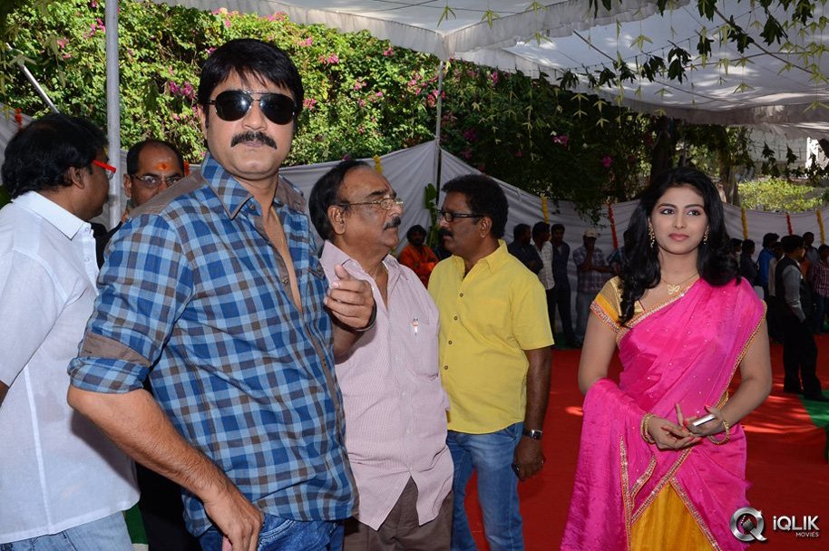 Vinavayya-Ramayya-Movie-Launch